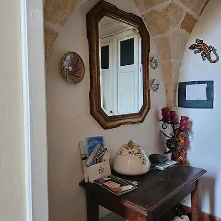Gecko's House