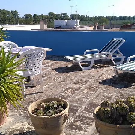 شقة Gecko's House *